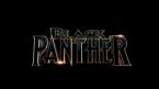 Black Panther Movie Wallpaper 091